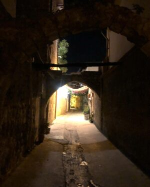 Şenay Gürler Instagram - Bu gece Antakya’da oyunum vardı. Sonra İskenderun, Mersin ve Adana. 
Çok heyecanlıydım 1 yıl sonra Antakya’ya gideceğim için. Programlar  yaptık @meltemgulenc ile birlikte. 10 ay yaşadık orada. Ben hayatımda bu kadar farklı kültürlerin, insanların, dini inançların içiçe geçtiği, başka bir şehirde yaşamadım daha önce. Cami ve kilise neredeyse yan yanaydı. Birbirlerine nasıl saygılı olduklarını gördüm. Çok güzel insanlarla tanıştım, her anını coşkuyla yaşayan. Pırıl pırıl insanlar. Şimdi çoğu yaşamıyor ne yazık ki. Her an sürpriZle karşılaşabileceğim hayalimdeki şehirdi Antakya. Benim İstanbul’dan sonra işte yaşayabileceğim dediğim yerdi. Farklıydı çok farklıydı. Şimdi paramparça, acı hem de  çok acı yüklü, 
İçim o kadar çok acıyor ki. Kaybettiğimiz insanlara, o güzelim şehrin geldiği hale.
Acının yanında öfke de var, isyan da var içimde. Nasıl ya nasıl diye çığlık atıyorum. Unutmayacağım, unutmayacağım, unutmayacağım…