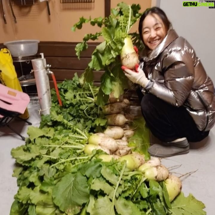 Seo Hyo-rim - 1.2K Likes - 드디어 올 해 농사 끝!!👏🎉
내일 뽑으려고 했는데 무우가 얼어버릴까봐ㅎ
무우 다 뽑고 군고구마가 잘 구워진게 기분이 이렇게 좋을일인가🍠🤣
우리들의 #countrylife
