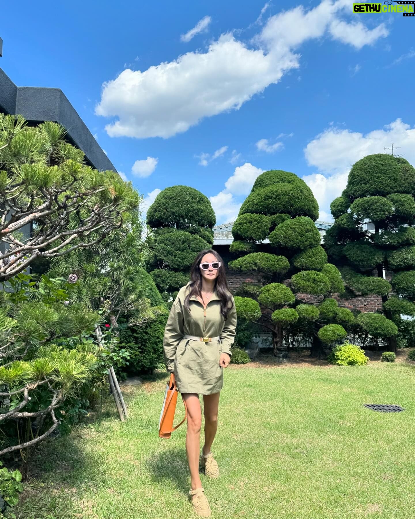 Seo Hyo-rim - 832 Likes - 다현이의 생일 🎂모임💕
축하해😍
마지막 Damm lemon은
이비자에서 매일 마셨던 맥주 🍺🥹
추억돋음🥲
어디서 판매하는지 아시는분✋?