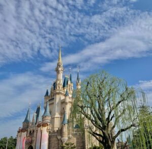 Seo Shin-ae Instagram - OCT in Tokyo Disney & つくば 🎠🍃
