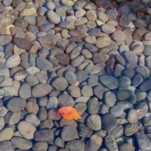 Seo Shin-ae Instagram - 永遠の青春へ 🍏 🍂