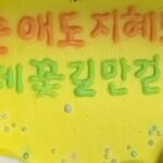 Seo Ji-hye Instagram - 💌 지금까지 어쩌다마주친그대를 사랑해주신 많은 분들 정말 감사드립니다. 🙇🏻‍♀️ 함께 해준 모든 스탭분들 모든 배우분들이 한 분 한 분 다 기억에 남을 정도로 좋은 사람들과 함께 할 수 있음에 큰 영광이었습니다 시간이 지나도 크게 마음에 남을 것 같은 순간이었어요. 더 다정한 마음으로 살아가는 좋은 배우, 좋은 사람이 되겠습니다. 감사합니다 사랑합니다. 순애야, 잘가 안녕. #어쩌다마주친그대 #이순애 💖