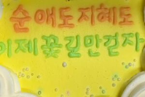 Seo Ji-hye Instagram - 💌 지금까지 어쩌다마주친그대를 사랑해주신 많은 분들 정말 감사드립니다. 🙇🏻‍♀️ 함께 해준 모든 스탭분들 모든 배우분들이 한 분 한 분 다 기억에 남을 정도로 좋은 사람들과 함께 할 수 있음에 큰 영광이었습니다 시간이 지나도 크게 마음에 남을 것 같은 순간이었어요. 더 다정한 마음으로 살아가는 좋은 배우, 좋은 사람이 되겠습니다. 감사합니다 사랑합니다. 순애야, 잘가 안녕. #어쩌다마주친그대 #이순애 💖
