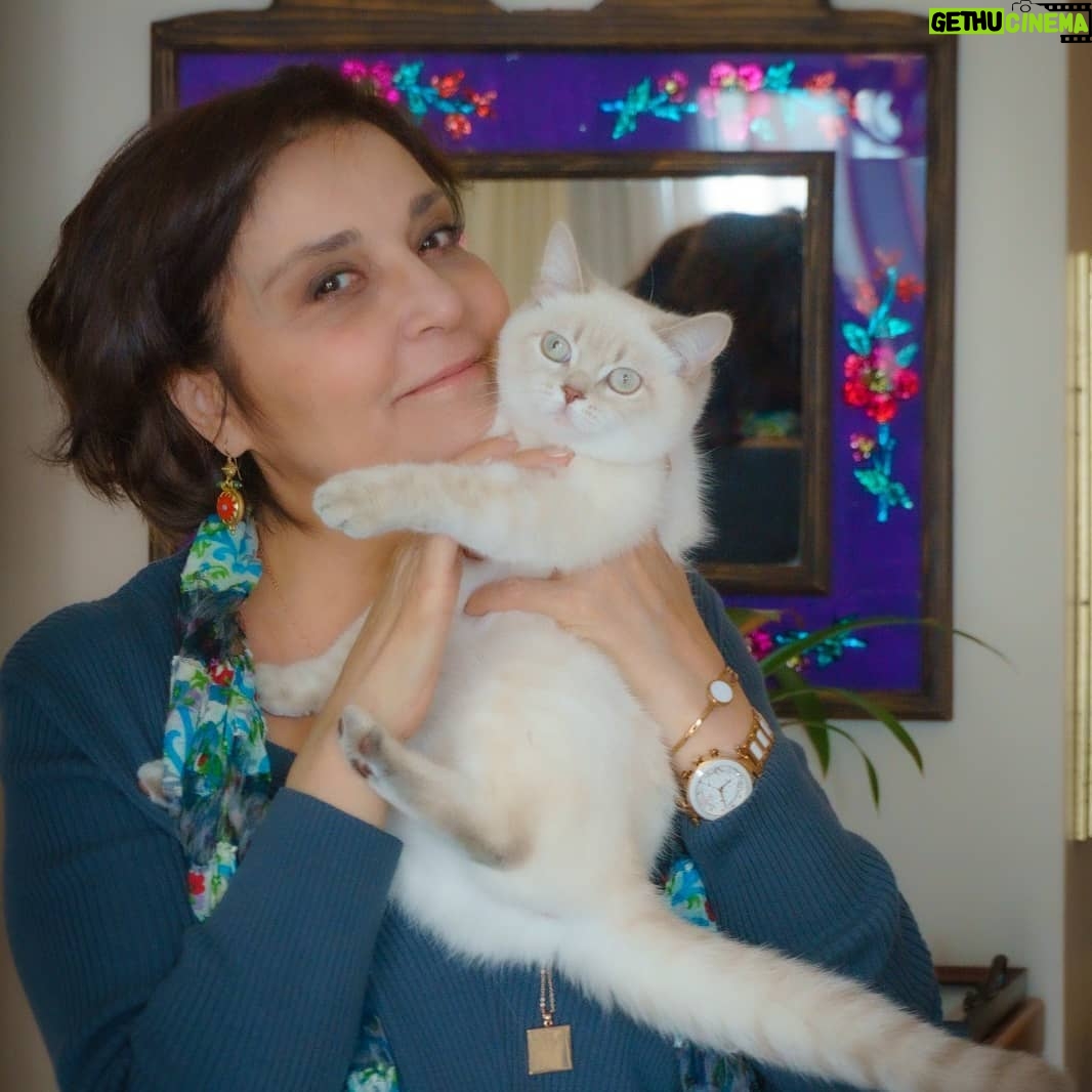 Seray Gözler - 4.7K Likes -