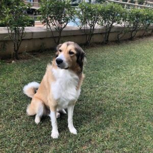 Seray Gözler Instagram - 