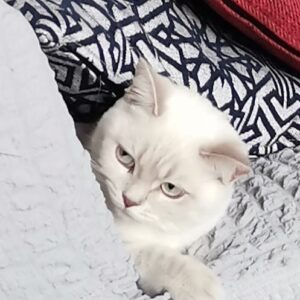 Seray Gözler Instagram - 