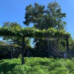 Seren Şirince Instagram – #brooklynbotanicgarden
