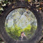 Seren Şirince Instagram - My mind 🫖🌱🌿🌞