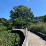 Seren Şirince Instagram – #brooklynbotanicgarden