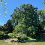 Seren Şirince Instagram – #brooklynbotanicgarden