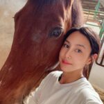 Serena Fang Instagram – 你有想我嗎？🐴✨
超有靈性的柔柔
#台北馬