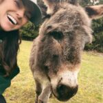 Serinda Swan Instagram – Don’t be an ass… actually they are the best and you should ABSOLUTELY go visit these guys!! Also the last pic “you just have to lean back, tip sideways and then you fall…” 😂 sure… just that easy hahaha.
Had the most incredible weekend w @arielswan @mikaelareuben @michaeldward @claritewellness and Zach at the insanely lovely @endswellfarm celebrating Miks birthday.
We made pizza, fed sheep, hugged donkeys, climbed trees, made friends… honestly I needed this more than I knew. If you’re planning a trip to BC and are looking for a magic spot to visit, Endswell Farm is the place.