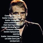 Serpil Tamur