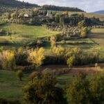 Serra Yılmaz Instagram – Evet yeni bir Piano Piano Toscana turumuz başlıyor çok yakında, yine güzelim Toscana’nın enfes şaraplarının üretildiği Chianti bölgesinde gezeceğiz tozacağız, güzel yemekler yiyip, şarkılar söyleyerek keyif yapacağız ve de en hoşu Toscana’da çekilmiş filmlerin izini süreceğiz. Bir iki tane odamız boşaldı eğer içinizde “Tüh nasıl kaçırdım bu turu?!” diyen sinefil gezgin varsa, bekleriz…
@pianopianotoscana profilinde tüm ayrıntıları bulabilirsiniz.
#bellatoscana #chianti #pianopianotoscana #toskanadansevgilerle #italyanfilmleri