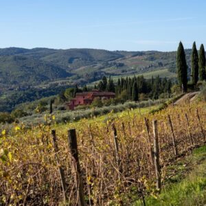 Serra Yılmaz Instagram - Evet yeni bir Piano Piano Toscana turumuz başlıyor çok yakında, yine güzelim Toscana’nın enfes şaraplarının üretildiği Chianti bölgesinde gezeceğiz tozacağız, güzel yemekler yiyip, şarkılar söyleyerek keyif yapacağız ve de en hoşu Toscana’da çekilmiş filmlerin izini süreceğiz. Bir iki tane odamız boşaldı eğer içinizde “Tüh nasıl kaçırdım bu turu?!” diyen sinefil gezgin varsa, bekleriz…
@pianopianotoscana profilinde tüm ayrıntıları bulabilirsiniz.
#bellatoscana #chianti #pianopianotoscana #toskanadansevgilerle #italyanfilmleri