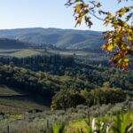 Serra Yılmaz Instagram – Evet yeni bir Piano Piano Toscana turumuz başlıyor çok yakında, yine güzelim Toscana’nın enfes şaraplarının üretildiği Chianti bölgesinde gezeceğiz tozacağız, güzel yemekler yiyip, şarkılar söyleyerek keyif yapacağız ve de en hoşu Toscana’da çekilmiş filmlerin izini süreceğiz. Bir iki tane odamız boşaldı eğer içinizde “Tüh nasıl kaçırdım bu turu?!” diyen sinefil gezgin varsa, bekleriz…
@pianopianotoscana profilinde tüm ayrıntıları bulabilirsiniz.
#bellatoscana #chianti #pianopianotoscana #toskanadansevgilerle #italyanfilmleri
