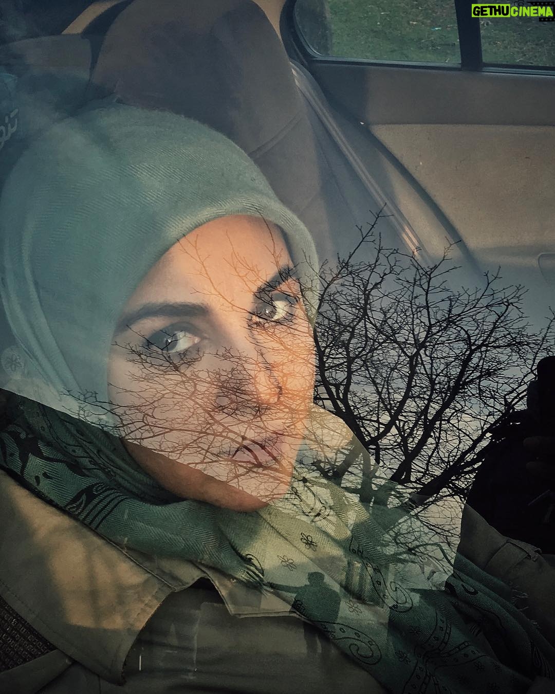 Setare Eskandari - 6.4K Likes - تو امدى چون صاعقه ،اسمان شدم من تا در اغوشت گيرم
باد و طوفانت را دشت شدم ...
تن سپردم به امواج ِ تو ،برايت من دريا شدم..
كمان ِ دل كشيدم با تيرِ بوسه هاى ِ تو ، دورتر از مرزهاى باور نشاندمش
چشم بستم تا با اسبِ من سواره شوى بر صحراى ِداغِ خيال...
دانه دانه هاى اشكهايت را باور كردم من..
باران ِ كدامِ زمستان چشمانت راشسته است كه ديگرتورا سراغى از بهارنيست ؟
من بى باورم به ماه وبه اتش ...
نگاه كن مرا ...
در كوچه پس كوچه هاى ِ جنگل ِدرد تو را من مى سپارم به باد ... به باد ... به باد
#محمد جان رسولى لحظه را ثبت كرد 🙏🍃@hamarasouli