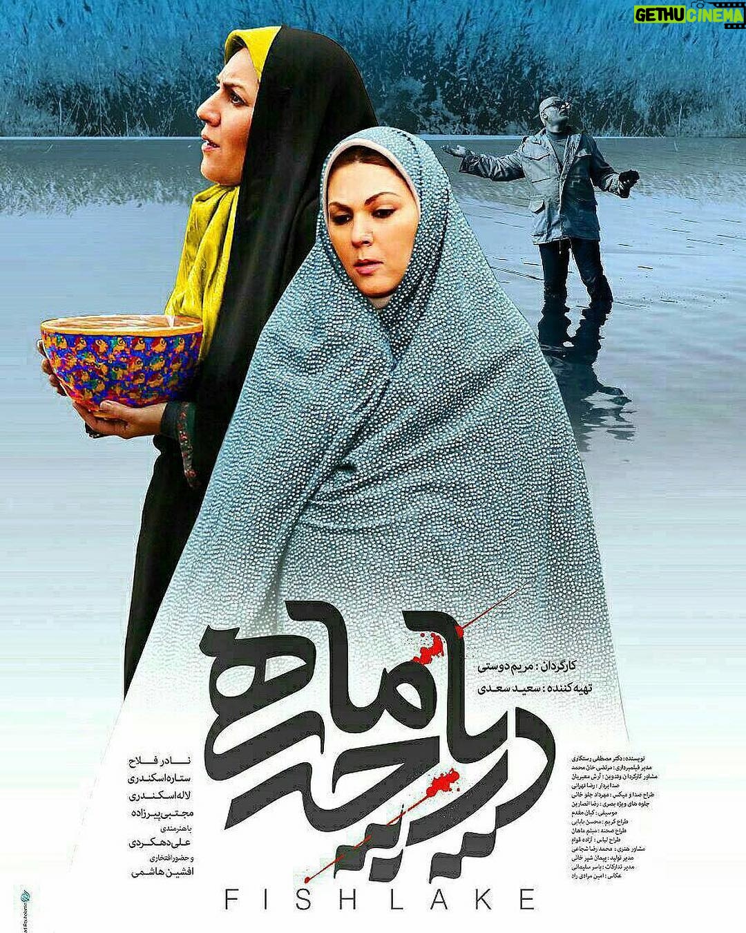 Setare Eskandari - 5.1K Likes - درياچه ماهى ..به زودى
