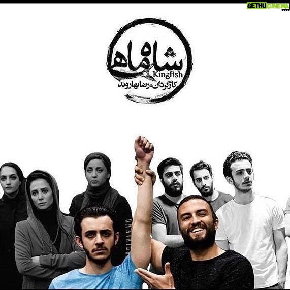 Setare Eskandari - 4.7K Likes - شاه ماهی جان سلام
بر صحنه امدی تا دوباره به خاطر اوریم که تئاتر روزگاری دریایی بود که از هر موجش اندیشه ای بر می خواست، در دلش کشتی ِفرهنگ ، پرچم به غرور می افراشت ، شاه ماهی جان ، ما امروز به داشتن حوضی بسنده کرده ایم که چهار دیوارش پر شده از جلبک ِ ابتذال ، ما با مترِ حقیرِ شهوت ِدیده شدن ، دنیای ِ زیست تورا کوچک و کوچکتر کردیم ... شاه ماهی جان حالا تو بر صحنه ای و حضورت ، حضور قاطع اعجاز است ، در این روزهای بی تعهدیِ فرهنگی، این روزهای ِشتابناک ِبی هویت ... احمد جان سلگی چه به موقع یاداورمان شدی که افقمان روزگاری خورشیدی داشت ، رضا جان بهاروند , الناز ، علی ، فائزه ، کیوان ، مهران، سارینا، نصیر ، پرستو و نیمای عزیز دست مریزاد که پای عاشقی ایستادید ، امیر جان جدیدی ...بابا ..درخشان بر صحنه بودی و درخشانتر ، چراییِ بودنت برصحنه.. تو رسالت ِگمشده ی این روزهای تئاتر را یاد اوری .. در روزگارِ کیسه دوزی برای هنر ، چه عاشقانه بزرگی، که دلت برای نفس ِ بی رمق ِذات ِتئاتر می تپد ، شاه ماهی جان امید با دستان شما خراب شود این چاردیواری ِ منحوس ِتحمیلی ، کاش از دستتان نیفتد این کلنگ ِخسته ی فرهنگ ِتعهد ، تا رود ها دوباره جاری شوند و ما را به دریا یِ گمشده امان برسانند...با قدر دانی ِبسیار ..ستاره اسکندری