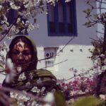 Setare Eskandari Instagram – ارديبهشت روى ِ من سايه انداخته ،نگاه كن
پر مى شوم دوباره از شكوفه ها و باد كه بوى تو را مى اورد ..
ريشه كرده اى تو، هنوز در ميانِ جانم جوانه مى زنى ،بمان

عكسِ حديث جان نيكرو