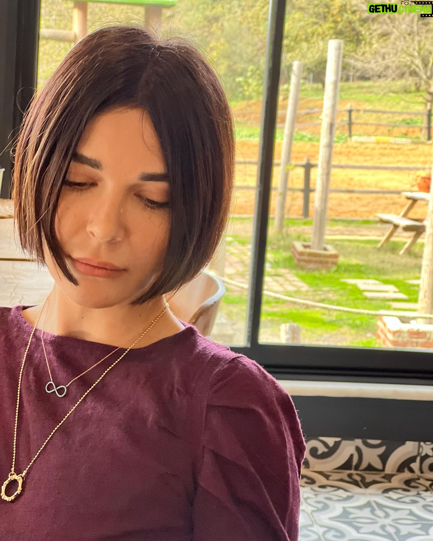 Sevcan Yaşar Instagram - King ile Queen koruma altında. Bishoptan haber yok. 🐘🐘🐘🧲