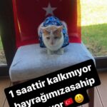 Sevil Uyar