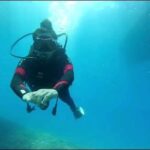 Sevil Akı Saner Instagram - Su altında da sahnedeki gibi ellerim ve kalbim var ❤️👌 Aşkla ...🫶@masterdivecenter @dive_jewelery @sibelakihelvaci @muty_3d @ulasundar #adrasan #masterdivecenter