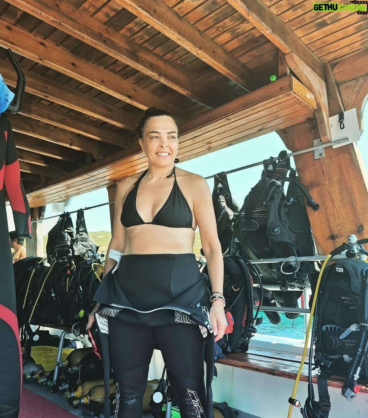 Sevil Akı Saner - 2.9K Likes - Dalış tutkunları günlüğü ...👌🐋 @masterdivecenter