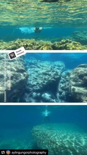 Sezin Akbaşoğulları Instagram - ❤️🌈🦐🐳☀️