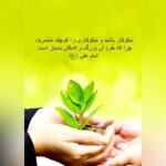 Shadi Mokhtari Instagram - • یا امیر المومنین روحی فداک آسمان را دفن کردی زیر خاک... این جمعِ کوچک که ماه هاست با نام مهرِ شادی کنار هم ایستاده، برای گسترش مِهر،برای اندکی شادی ،به پشتوانه حضور شما و دلگرمیتان آغازگرِ حرکتِ دیگری شد... این بار قربان تا غدیر بهانه ی ما شد، که با وجودِ دست های پر از مهر شما دنیایی به وسعتِ یک لبخند و کورسویی به روشناییِ یک شمع در زندگیِ هم نوعی بتابانیم... #مهرِ_شادی #نیکوکاری #شادی_مختاری ‏ ( لازم دونستم که بازهم برایِ تشکر و قدردانی از تمامِ مهر و لطفتون به من، این پست رو به اشتراک بگذارم تا ویژه از نیکوکاری‌هایی که طی یک سال گذشته به مناسبت هایِ مختلف با عنوانِ «مهرِ شادی» به انجام رسانیده‌اید، تشکر کنم🙏🏻❤️ اگر این ریاست، آری ما ریاکارترینیم و ترجیح میدهیم با تمامِ توان و در حدِ محدوده اثرگذاری خودمان فرهنگ نیکوکاری را به ویژه در این روزها که شرایطِ معیشتی برای بسیاری از هموطنانمان سخت و طاقت‌فرسا شده،اشاعه دهیم. علی‌یارتان…❤️)