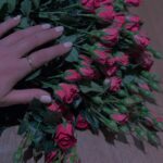Shadi Mokhtari Instagram - • برایِ آن‌هایی که دوستشان میدارم: رنج تن دور از تو ای تو راحت جان‌هایِ ما چشم بد دور از تو ای تو دیده بینای ما… |مولانا|