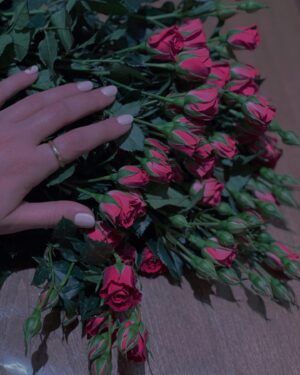 Shadi Mokhtari Instagram - •
برایِ آن‌هایی که دوستشان میدارم:

رنج تن دور از تو ای تو راحت جان‌هایِ ما
چشم بد دور از تو ای تو دیده بینای ما…

|مولانا|