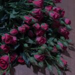 Shadi Mokhtari Instagram - • برایِ آن‌هایی که دوستشان میدارم: رنج تن دور از تو ای تو راحت جان‌هایِ ما چشم بد دور از تو ای تو دیده بینای ما… |مولانا|