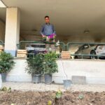 Shahrzad Kamalzadeh Instagram - روز درختکاری مبارک❤️🌱💚تقدیم به تمامی دوستداران طبیعت و زمین مادر اصلی ما ⭐️🌱💚خونه پدری 🌱❤️دکتر هادی منافی @negarsazan_keshavarzi #احترام_به_طبیعت #زمین #گیاه #درختکاری #زیبایی #طبیعت #سلامت_روان #آرامش #پاکیزگی #احترام#صلح#انسانیت