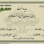 Shahrzad Kamalzadeh Instagram - دو تا نهال بلوط کنار هم در زاگرس زیبا به همت گروه بهشت دالاهو کاشته شد یه روز که منم مثل تو دیگه توی این دنیا که با هم خیلی از روزها و شب هاش رو تجربه کردیم نباشم با هم ذره بسیار بسیار کوچیکی از طبیعت و تنفس میشیم دوباره کنار همدیگه رشد می کنیم و یه روز این نهال مثل قامت خودت تنومند و قوی میشه و منم زیر سایه ات زندگی می کنم با کاشتن این نهال انگار دوباره زنده شدی و نفس می کشی هر چند که برای من همیشه زنده و اغلب اوقات کنارمی یادت مثل همین نهال همیشه برام سبزه بهترین من بابا #زاگرس #درختکاری_نهال_کاری #سبز #بابا#درخت_بکاریم #شهرزادکمالزاده #سعید_کمالزاده#بهشت_دالاهو #بلوط_زاگرس #ایران #۱۴۰۰ #یارزاگرس @beheshte.dalahoo 🍃🌱🌱🌱💚💚