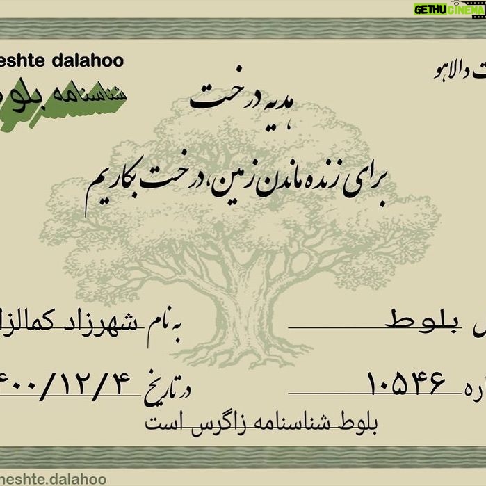 Shahrzad Kamalzadeh Instagram - دو تا نهال بلوط کنار هم در زاگرس زیبا به همت گروه بهشت دالاهو کاشته شد یه روز که منم مثل تو دیگه توی این دنیا که با هم خیلی از روزها و شب هاش رو تجربه کردیم نباشم با هم ذره بسیار بسیار کوچیکی از طبیعت و تنفس میشیم دوباره کنار همدیگه رشد می کنیم و یه روز این نهال مثل قامت خودت تنومند و قوی میشه و منم زیر سایه ات زندگی می کنم با کاشتن این نهال انگار دوباره زنده شدی و نفس می کشی هر چند که برای من همیشه زنده و اغلب اوقات کنارمی یادت مثل همین نهال همیشه برام سبزه بهترین من بابا #زاگرس #درختکاری_نهال_کاری #سبز #بابا#درخت_بکاریم #شهرزادکمالزاده #سعید_کمالزاده#بهشت_دالاهو #بلوط_زاگرس #ایران #۱۴۰۰ #یارزاگرس @beheshte.dalahoo 🍃🌱🌱🌱💚💚