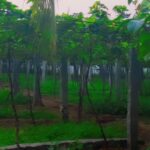 Shakeela Instagram - Had fun time 😍 Hope you guys enjoy it tooo😁 @yourstrulysasha #trending #viral #instagood #love #spreadlove #tamil #reelsinsta #reelsvideo #tamilcomedy #tamilcenima #trendingreels #trendingnow #shakeela #wineyard #tamilnadu