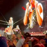Shamari DeVoe Instagram - Y’all artist need to throw them hats up in the air if you wanna square up with P!NK She’s the greatest of all time!!! 🏆