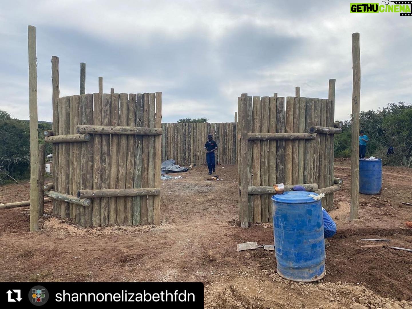 Shannon Elizabeth Instagram - #Repost @shannonelizabethfdn ・・・ @munutherhino's new boma at the sanctuary is being built! He's going to love this space. There will be fresh water & lucerne daily & much more space for him to roam during the day & eat live vegetation! This will be his safe place to come back to at night or when it's hot out & he wants to be in a cooler area. I can't wait! #munutherhino #shannonelizabethfdn #blackrhino #rhino #sanctuary #endangeredspecies