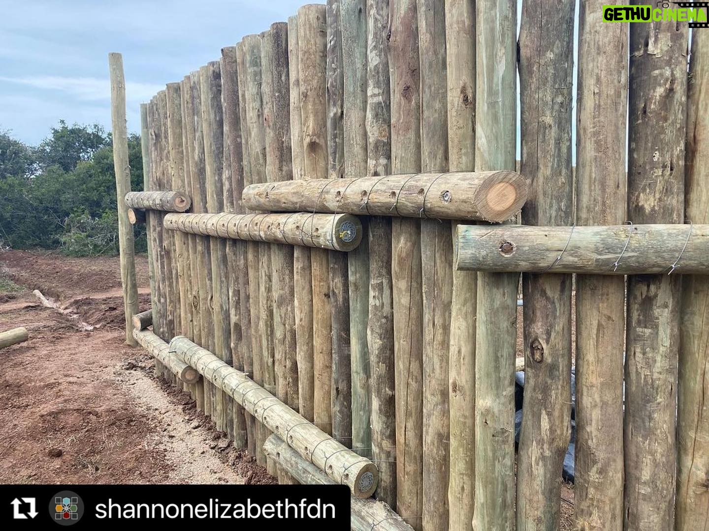 Shannon Elizabeth Instagram - #Repost @shannonelizabethfdn ・・・ @munutherhino's new boma at the sanctuary is being built! He's going to love this space. There will be fresh water & lucerne daily & much more space for him to roam during the day & eat live vegetation! This will be his safe place to come back to at night or when it's hot out & he wants to be in a cooler area. I can't wait! #munutherhino #shannonelizabethfdn #blackrhino #rhino #sanctuary #endangeredspecies