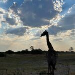 Shannon Elizabeth Instagram - Today is officially World Wildlife Day--yet to me, every single day is wildlife day. We must respect all life on this planet, for we are all sharing this beautiful Earth together. For anyone to feel they are better than any other life-form seems very short-sighted to me & extremely narcissistic. So please remember, we all need each other & we all have a right to be here. A world without wildlife is a world I don't want to be in. Make that, a world without animals... And yes, I included one of my fav wild animals which has tamed down to be my little Peanut! 😊 #respectalllife #respectlife #worldwildlifeday #wildlife #love