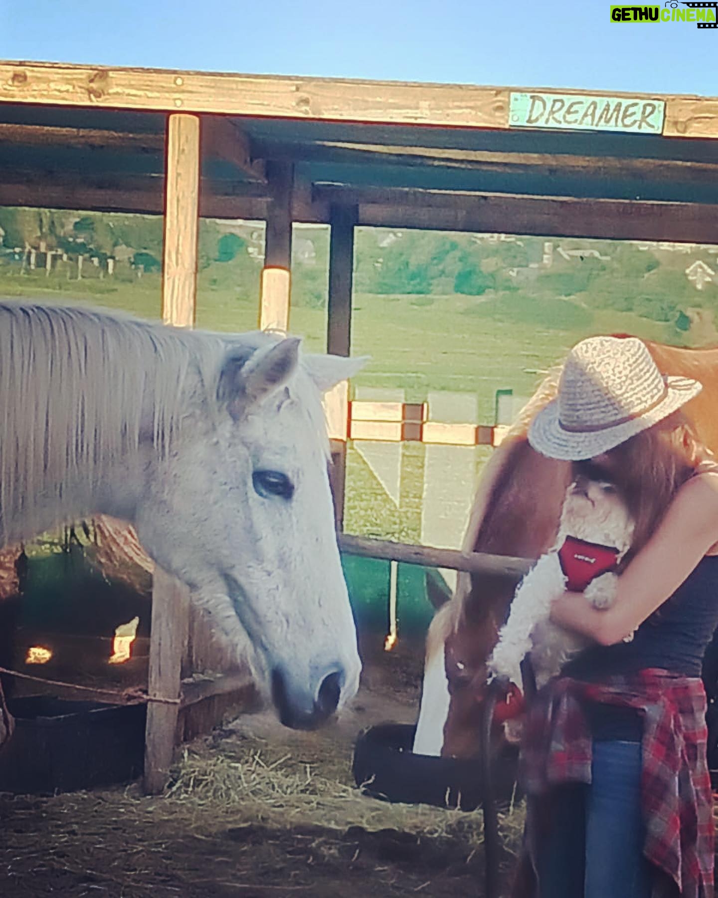 Shannon Elizabeth Instagram - Had an incredible day at @tomrohavenforequineschildren with Peanut!! The work they do rescuing horses is beautiful, & the energy there is so spiritual. Whether you're traveling to South Africa or you live here, pls consider paying them a visit & supporting the work they do in whatever ways you can. As you can imagine, they need a big piece of farmland where they can really build their dream facilities for these angels. They currently work with kids & women who get so much healing from these horses. Every life matters-save one save all! Thank you to Gillian & Stephanie for sharing your magic with me!! And thank you to @noulamaclean for introducing me to such a worthy cause. ππΌπ« (SWIPE LEFT to see Peanut at the end of a long day with the horses after his bath!)