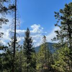 Shannon Elizabeth Instagram - Went on the most beautiful hike the other day...had to share the beauty of nature! 🌲🌿🌸 #nature #hiking #love