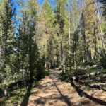 Shannon Elizabeth Instagram - Went on the most beautiful hike the other day...had to share the beauty of nature! 🌲🌿🌸 #nature #hiking #love