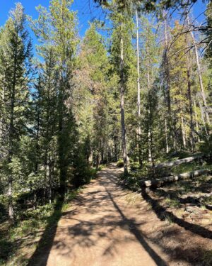 Shannon Elizabeth Instagram - Went on the most beautiful hike the other day...had to share the beauty of nature! 🌲🌿🌸
#nature
#hiking 
#love