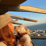Shannon Elizabeth Instagram – Peanut is truly my angel. We’ve been together for about 13 years, through thick & thin. He never lets me down. I love you my boy! 

#peanutgallery
#peanut
#capetown
#southafrica