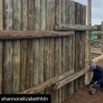 Shannon Elizabeth Instagram - #Repost @shannonelizabethfdn ・・・ @munutherhino's new boma at the sanctuary is being built! He's going to love this space. There will be fresh water & lucerne daily & much more space for him to roam during the day & eat live vegetation! This will be his safe place to come back to at night or when it's hot out & he wants to be in a cooler area. I can't wait! #munutherhino #shannonelizabethfdn #blackrhino #rhino #sanctuary #endangeredspecies
