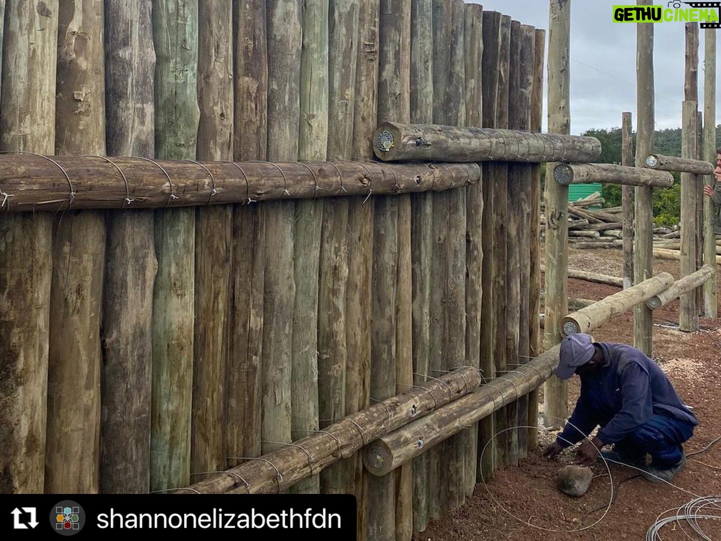 Shannon Elizabeth Instagram - #Repost @shannonelizabethfdn ・・・ @munutherhino's new boma at the sanctuary is being built! He's going to love this space. There will be fresh water & lucerne daily & much more space for him to roam during the day & eat live vegetation! This will be his safe place to come back to at night or when it's hot out & he wants to be in a cooler area. I can't wait! #munutherhino #shannonelizabethfdn #blackrhino #rhino #sanctuary #endangeredspecies