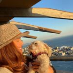Shannon Elizabeth Instagram – Peanut is truly my angel. We’ve been together for about 13 years, through thick & thin. He never lets me down. I love you my boy! 

#peanutgallery
#peanut
#capetown
#southafrica