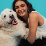 Shanti Priya Instagram – “Happy Birthday 🥳🥳🥳to the light of our lives, @whysodanny6 Danny boy! May your day be filled with joy, laughter, and endless love. Watching you grow is a gift beyond measure. Cheers to another year of amazing adventures together!”💫✨✨✨♥️ 

#shanthipriya #danny #celebration #goldenretriever #hbd